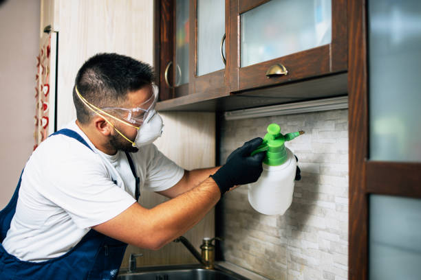 Best Spider Control Near Me  in Country Club Estates, GA