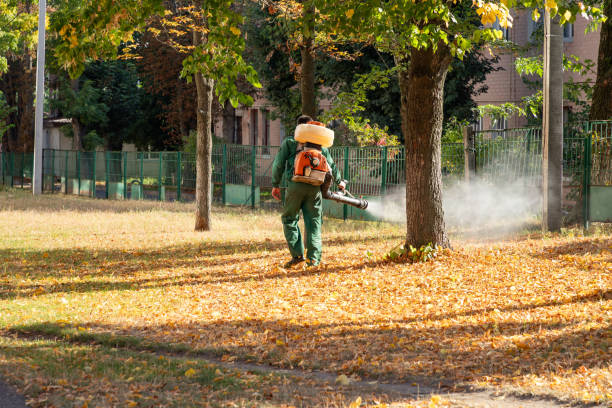 Best Wasp Removal Services  in Country Club Estates, GA