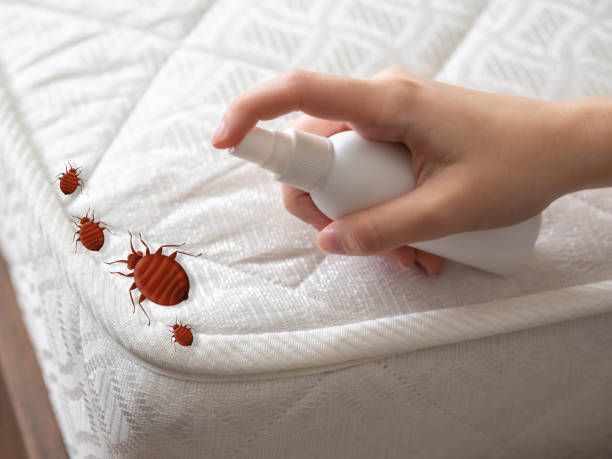 Best Best Pest Control Companies  in Country Club Estates, GA