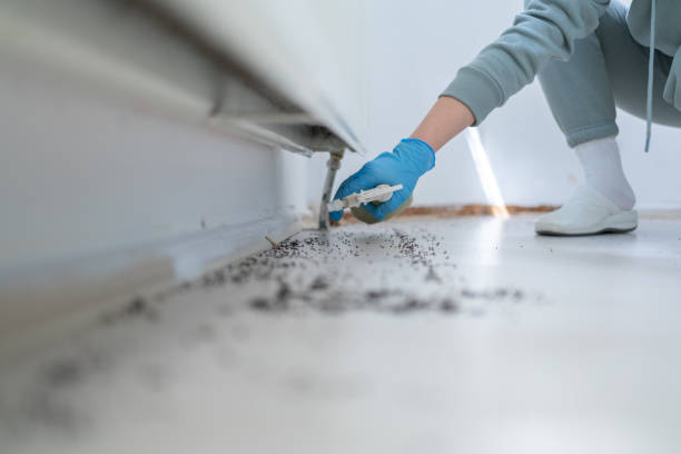 Professional Pest Control in Country Club Estates, GA